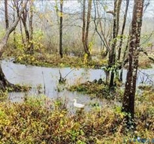 14430 Overlook Ridge Ln, Beaverdam, VA 23015