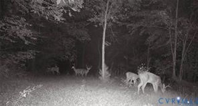 14430 Overlook Ridge Ln, Beaverdam, VA 23015
