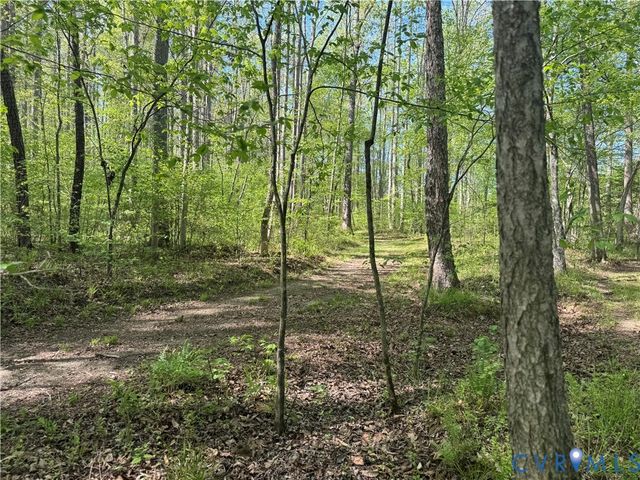 14430 Overlook Ridge Ln, Beaverdam, VA 23015