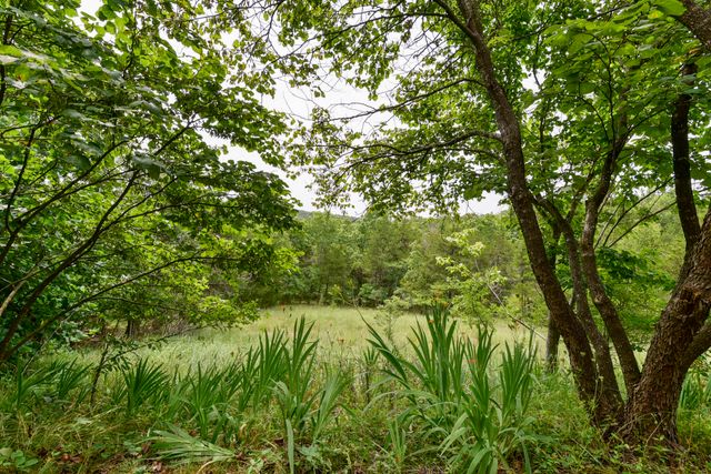 164 Sweet Home Trail, Theodosia, MO 65761