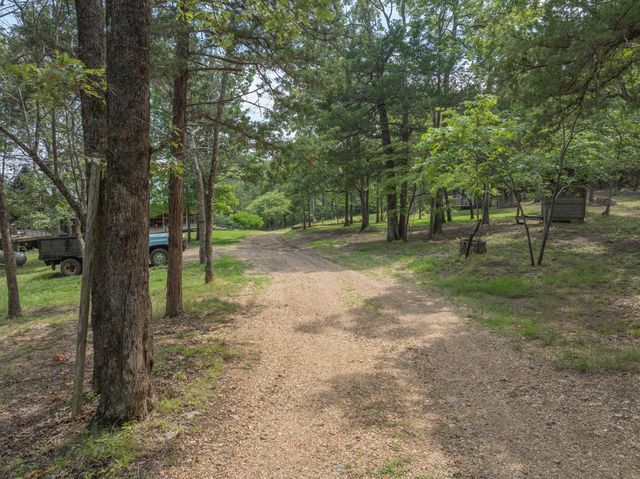 164 Sweet Home Trail, Theodosia, MO 65761