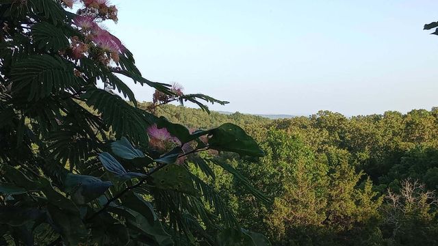 164 Sweet Home Trail, Theodosia, MO 65761