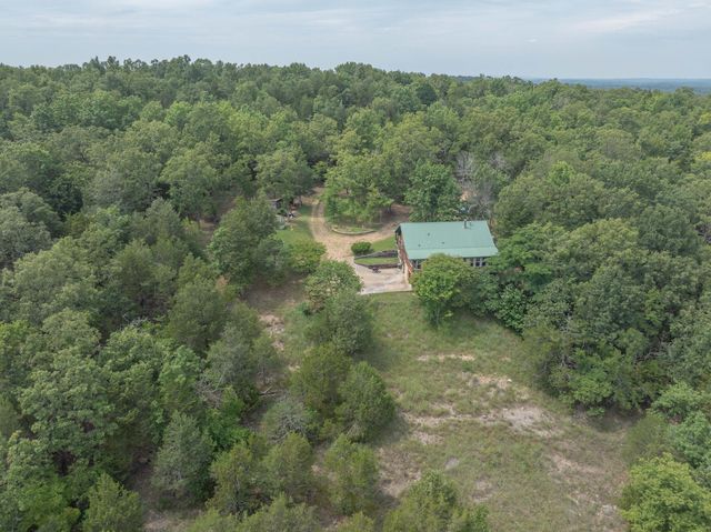 164 Sweet Home Trail, Theodosia, MO 65761