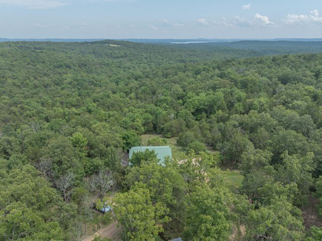 164 Sweet Home Trail, Theodosia, MO 65761