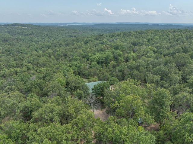 164 Sweet Home Trail, Theodosia, MO 65761