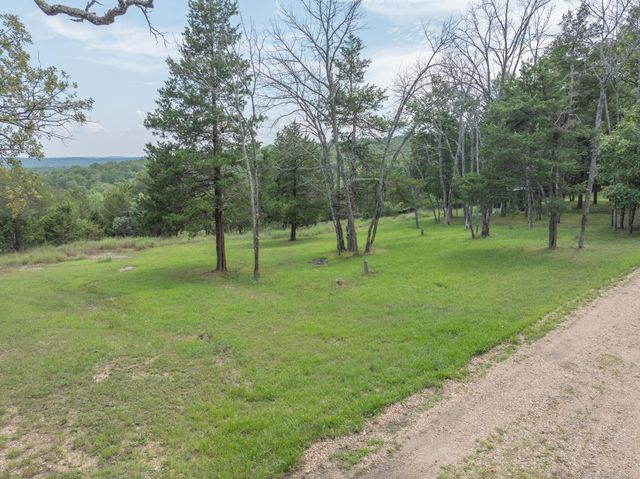 164 Sweet Home Trail, Theodosia, MO 65761