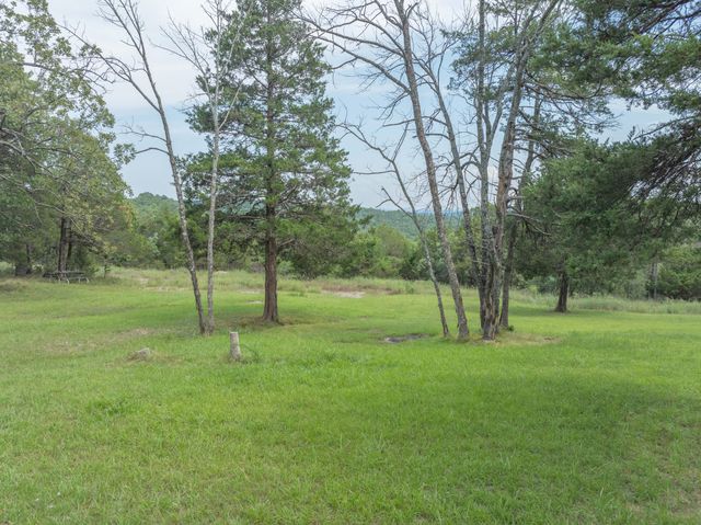 164 Sweet Home Trail, Theodosia, MO 65761