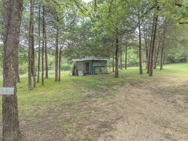 164 Sweet Home Trail, Theodosia, MO 65761