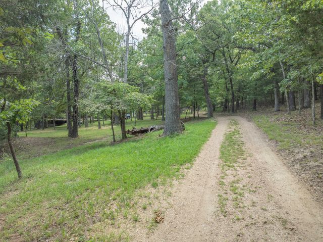 164 Sweet Home Trail, Theodosia, MO 65761