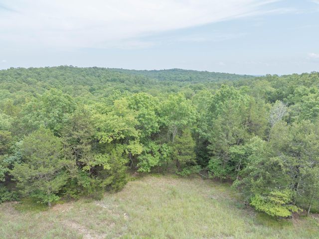 164 Sweet Home Trail, Theodosia, MO 65761