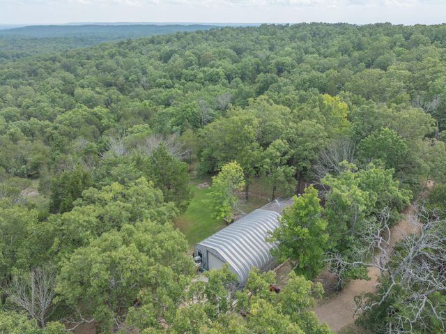 164 Sweet Home Trail, Theodosia, MO 65761