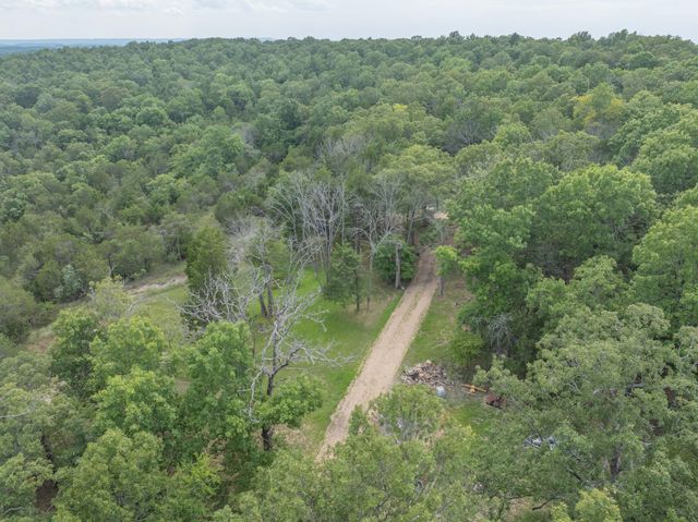 164 Sweet Home Trail, Theodosia, MO 65761