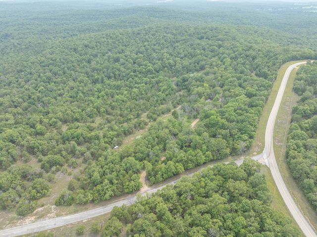 164 Sweet Home Trail, Theodosia, MO 65761