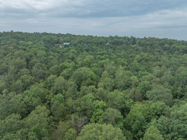 164 Sweet Home Trail, Theodosia, MO 65761