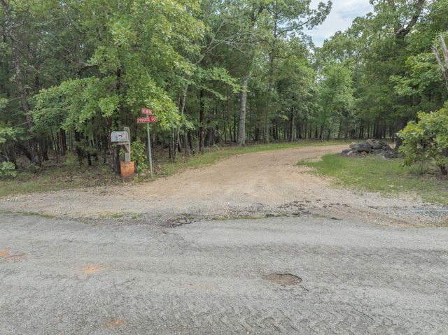 164 Sweet Home Trail, Theodosia, MO 65761