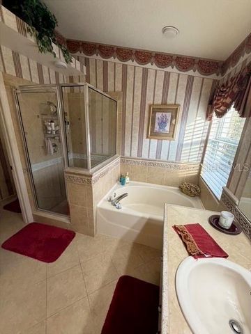 10317 TARRAGON DRIVE, Riverview, FL 33569