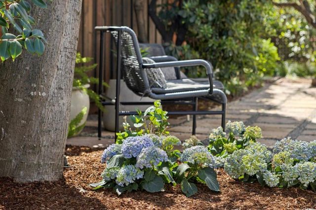 1619 Escobita Avenue, Palo Alto, CA 94306