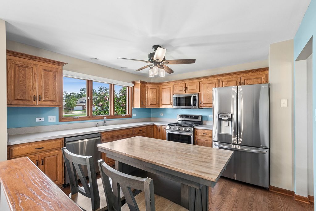 532 Lisson, New Lenox, IL 60451 — photo 4