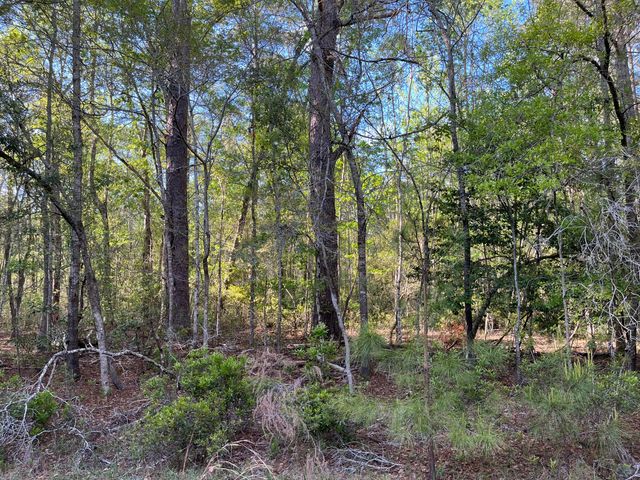 0 Rentz Drive, Walterboro, SC 29488