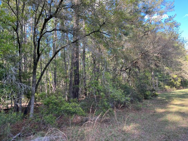 0 Rentz Drive, Walterboro, SC 29488