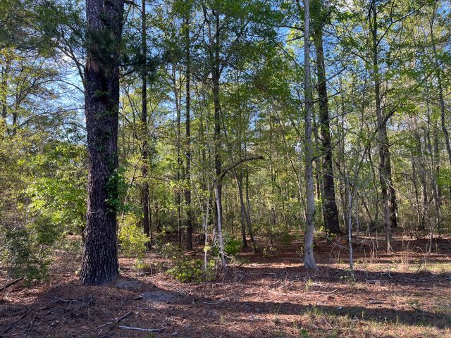 0 Rentz Drive, Walterboro, SC 29488