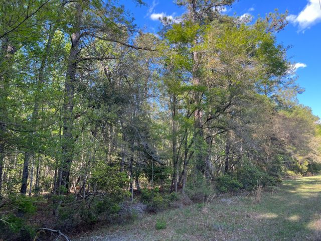 0 Rentz Drive, Walterboro, SC 29488