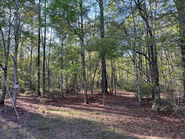 0 Rentz Drive, Walterboro, SC 29488