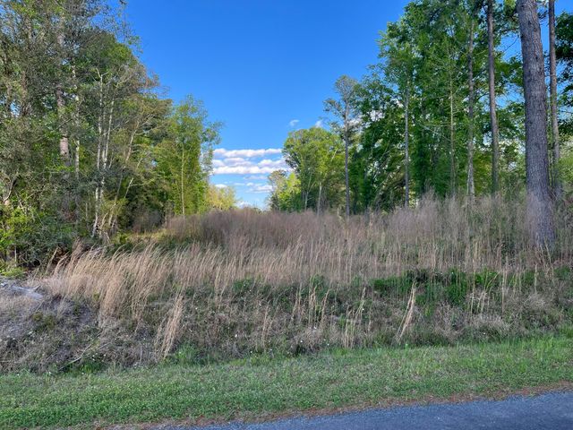 0 Rentz Drive, Walterboro, SC 29488