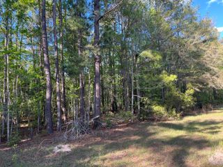 0 Rentz Drive, Walterboro, SC 29488