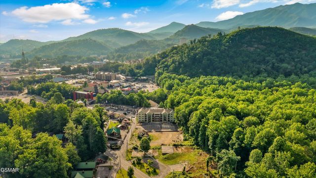 329 Ownby St Unit 1401, Gatlinburg, TN 37738