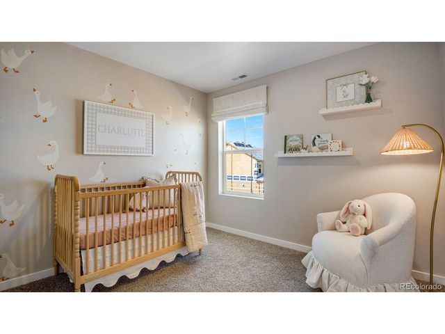 28227 E 4th Pl, Watkins, CO 80137
