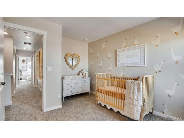28227 E 4th Pl, Watkins, CO 80137