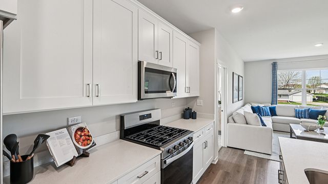 2907 Savana Drive, Joliet, IL 60435