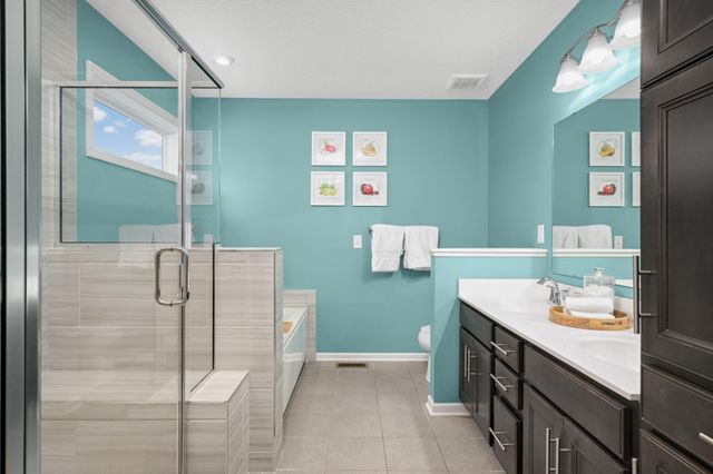 13801 Apollo Avenue, Rosemount, MN 55068