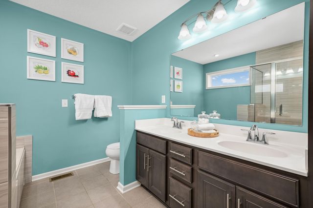 13801 Apollo Avenue, Rosemount, MN 55068