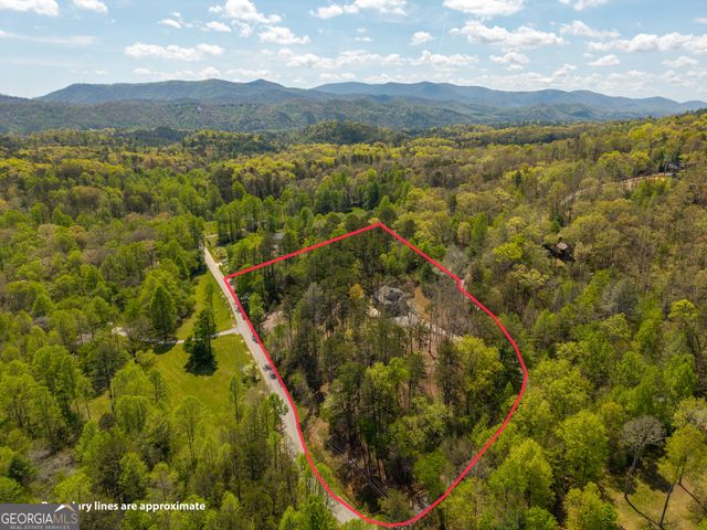 61 Overlook Road, Blue Ridge, GA 30513