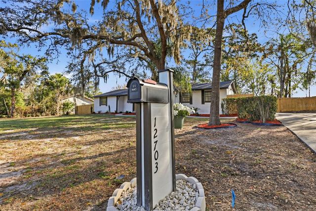 12703 N 53RD STREET, Temple Terrace, FL 33617