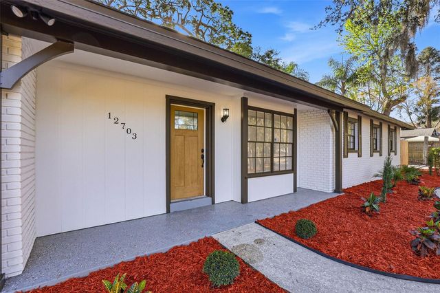 12703 N 53RD STREET, Temple Terrace, FL 33617