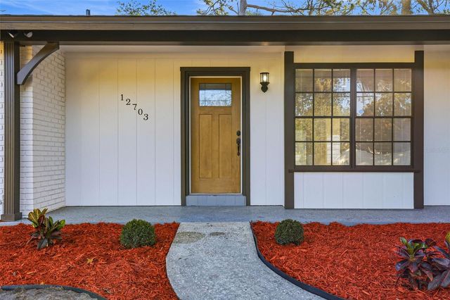 12703 N 53RD STREET, Temple Terrace, FL 33617