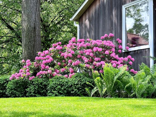 2700 Glenhurst Avenue, Saint Louis Park, MN 55416