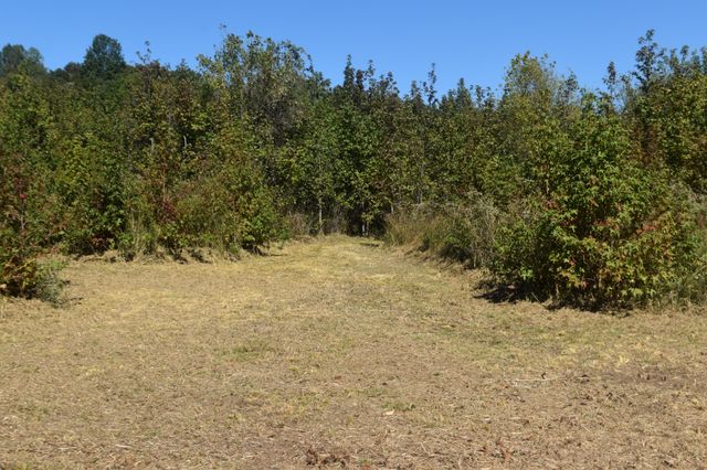 0 New Lake Road, Lewisburg, TN 37091
