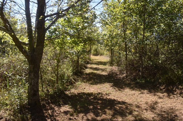 0 New Lake Road, Lewisburg, TN 37091