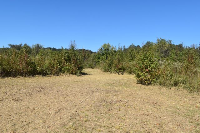 0 New Lake Road, Lewisburg, TN 37091