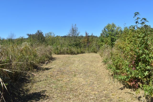 0 New Lake Road, Lewisburg, TN 37091