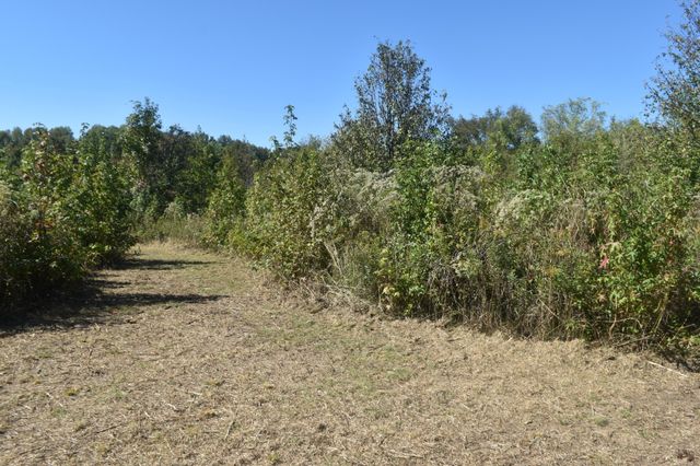 0 New Lake Road, Lewisburg, TN 37091