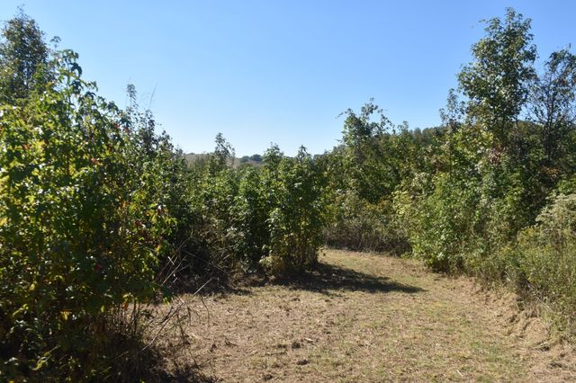 0 New Lake Road, Lewisburg, TN 37091