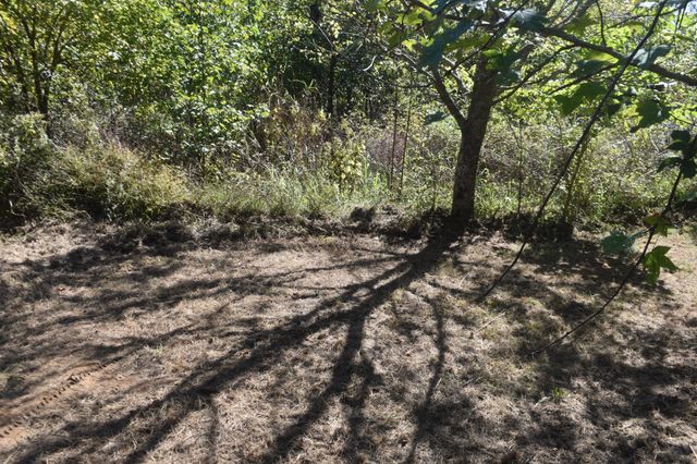0 New Lake Road, Lewisburg, TN 37091