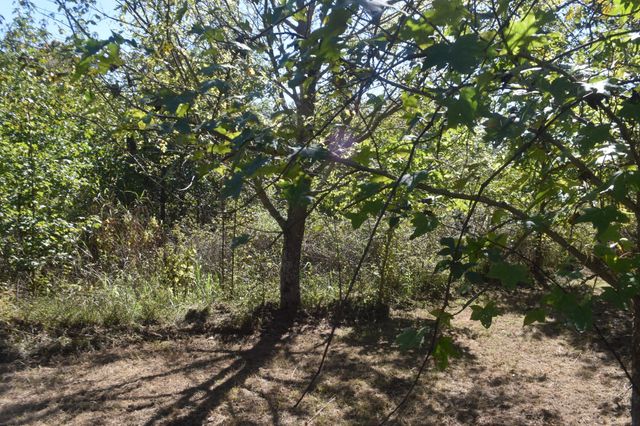 0 New Lake Road, Lewisburg, TN 37091