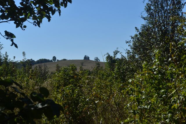 0 New Lake Road, Lewisburg, TN 37091