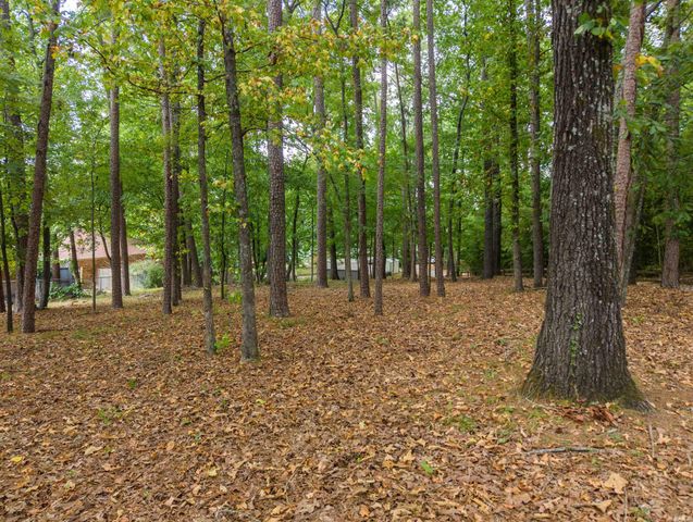 130 Brundage Terrace, Hot Springs, AR 71913